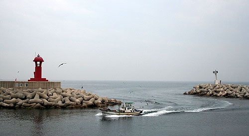 포항 호미곶 항구 풍경 l 